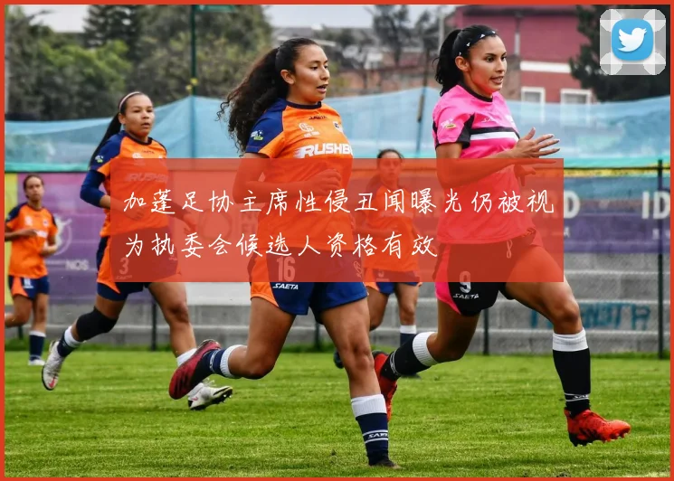 加蓬足协主席性侵丑闻曝光仍被视为执委会候选人资格有效