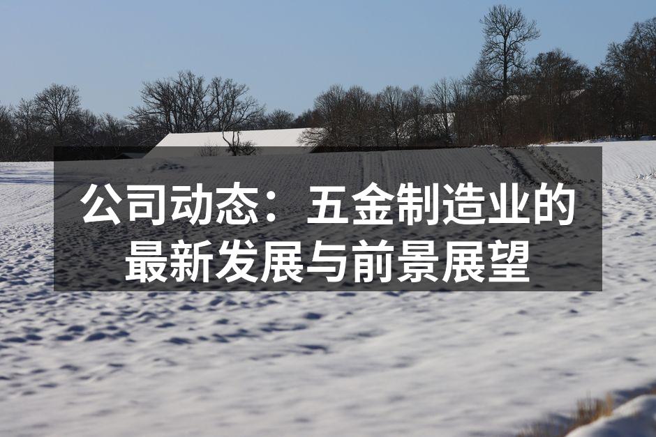 公司动态：五金制造业的最新发展与前景展望